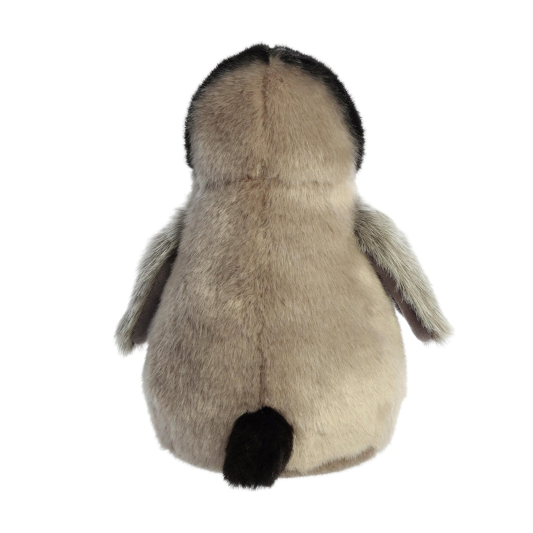 Aurora Miyoni Emperor Penguin Chick Grey
