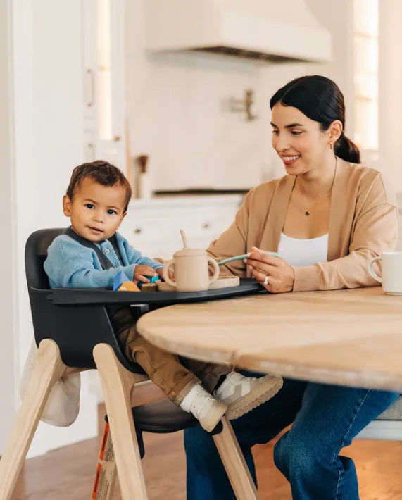UPPAbaby Ciro Highchair Jake (Charcoal)