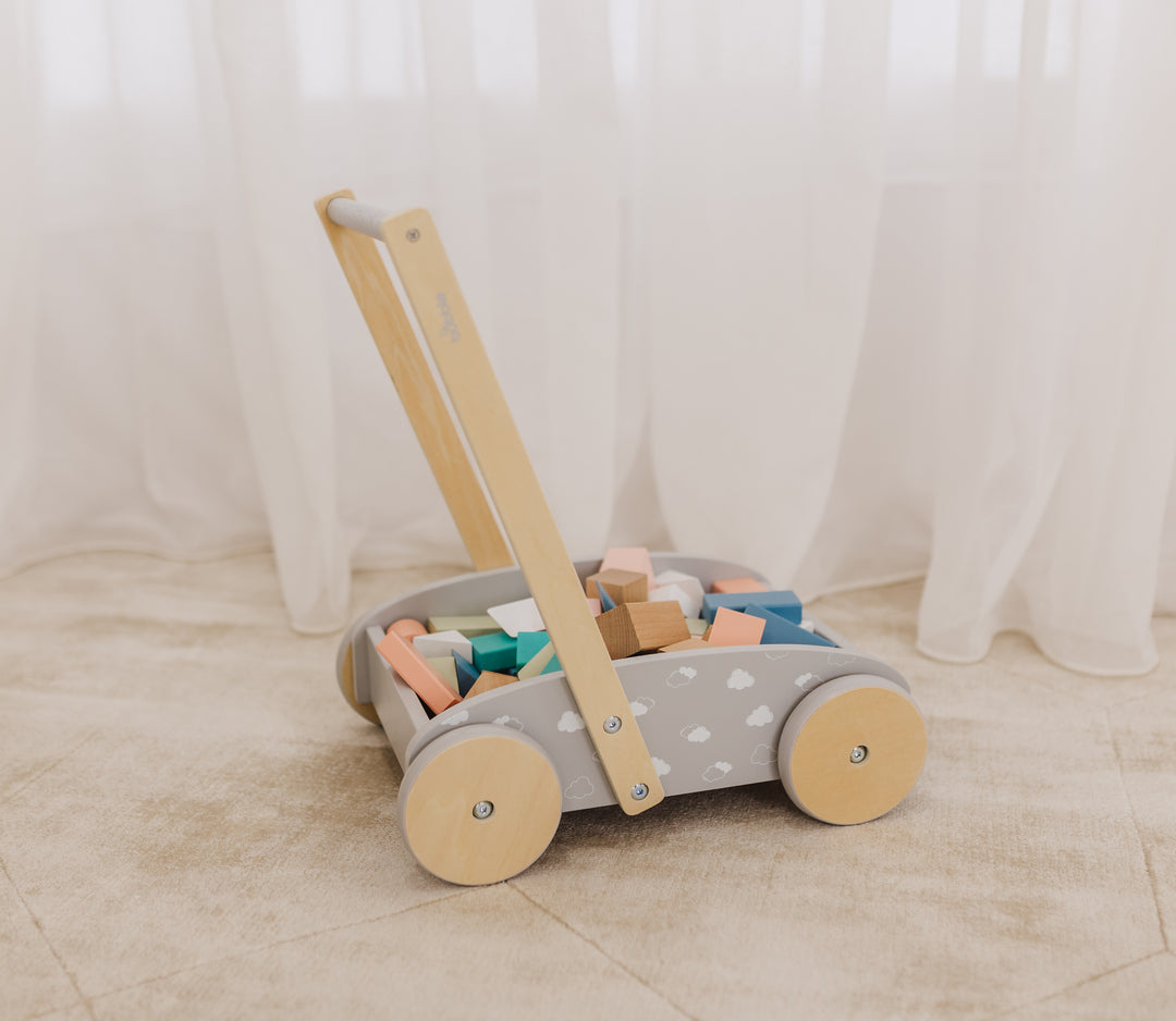 Bubble Wooden Baby Push Cart & Walker with 45 Building Blocks