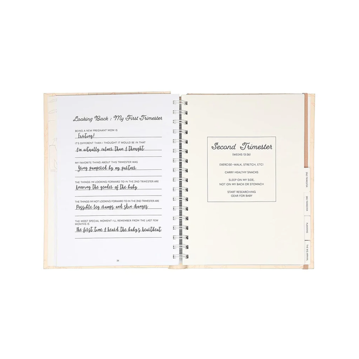 PEARHEAD PREGNANCY JOURNAL - BLUSH
