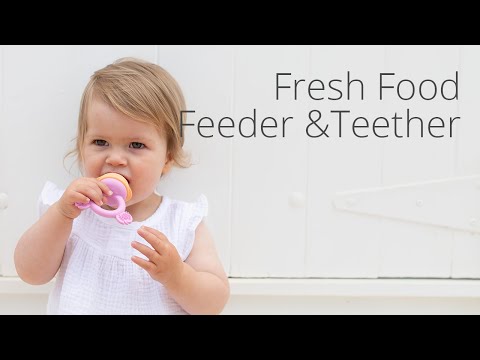 Cherub Baby SILICONE FRESH FOOD FEEDER / NIBBLE TRAY / REPLACEMENT 2PK NET - CERULEAN/SAGE