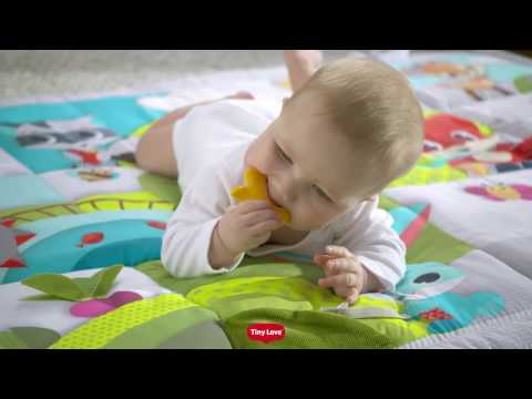 Tiny Love Meadow Days Super Mat(17605)