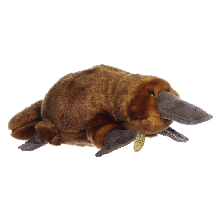 Aurora Miyoni Platypus Brown