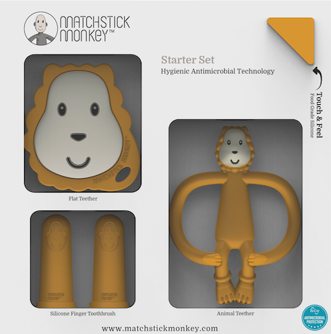 Matchstick Money Starter Set-Lion