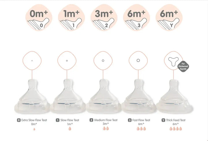 Hegen Teat Medium Flow (2-pack)(3 to 6 Months)