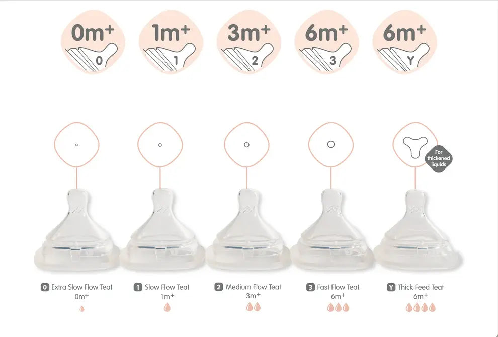 Hegen Teat Fast Flow (2-pack)(6 Months +)