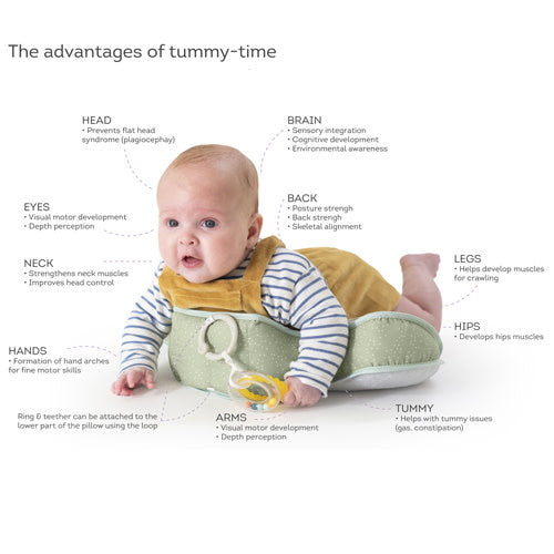TAF Toys Savannah Tummy time Pillow (TT12895)