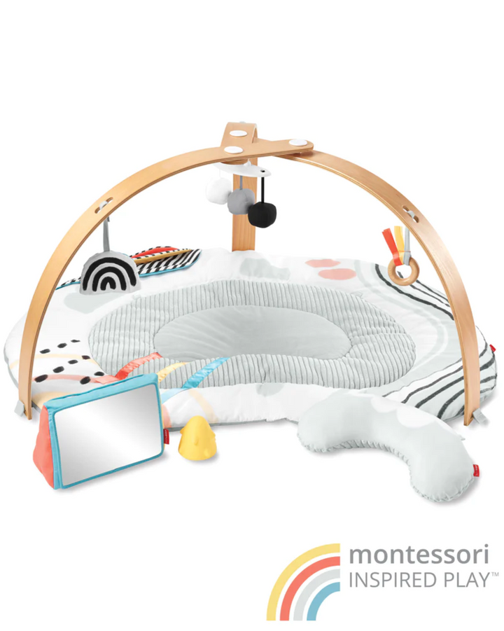 Skip Hop Discoverosity Deluxe Activity Gym