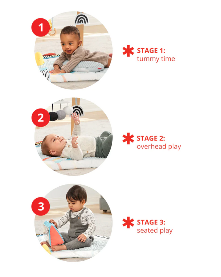 Skip Hop Discoverosity Deluxe Activity Gym