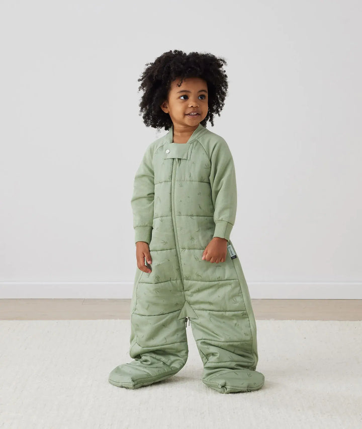 ergoPouch SLEEP SUIT BAG 2.5TOG-Willow