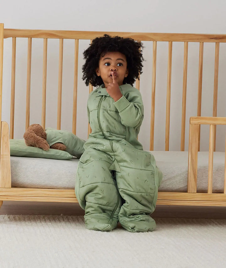 ergoPouch SLEEP SUIT BAG 2.5TOG-Willow