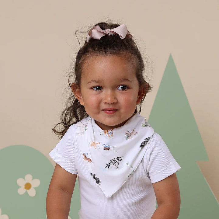 Organic Dribble Bib - Dog Park