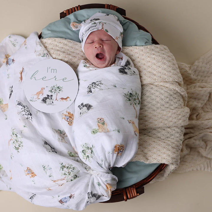 Organic Muslin Wrap - Dog Park