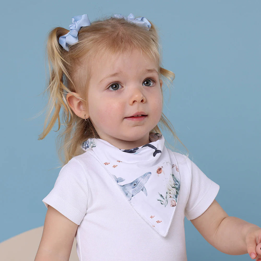 Organic Dribble Bib - Ocean