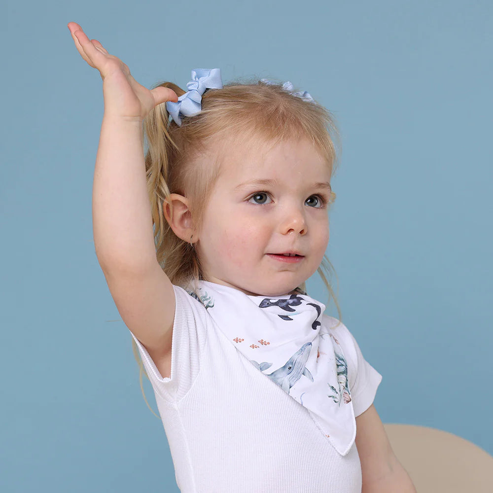 Organic Dribble Bib - Ocean