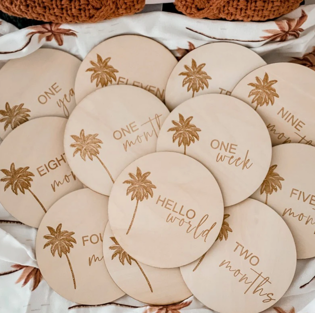 Snuggly Jacks Summer Storm Milestone Disc Pack