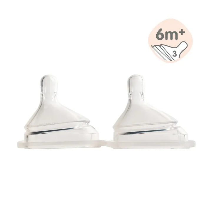 Hegen Teat Fast Flow (2-pack)(6 Months +)