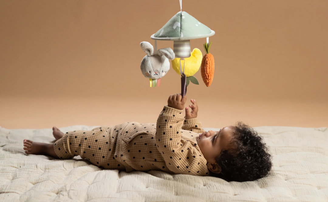 TAF Toys Garden Pram Mobile(TT13195)