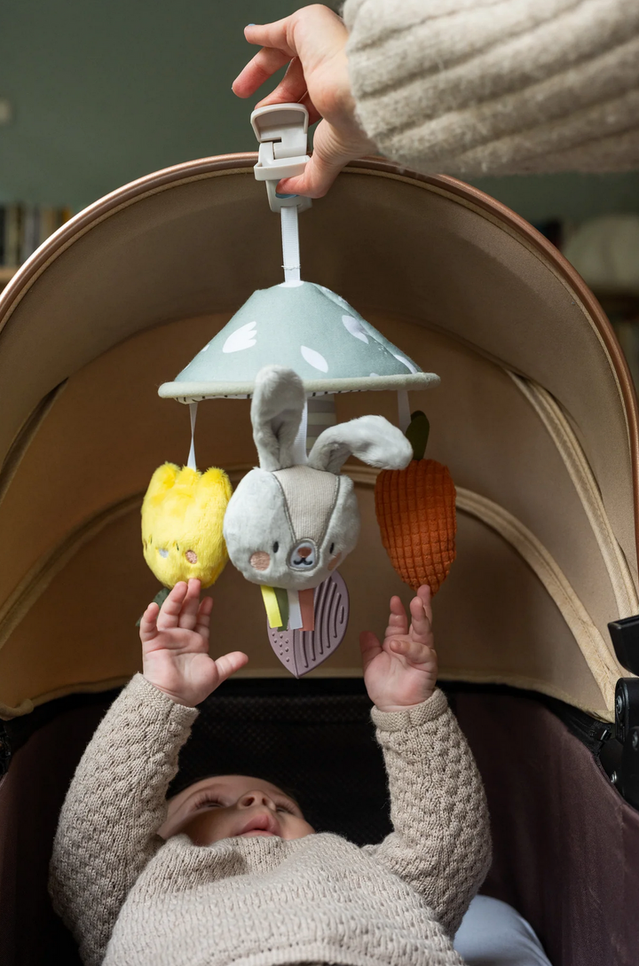 TAF Toys Garden Pram Mobile(TT13195)