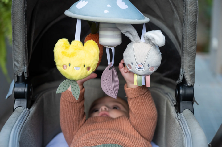 TAF Toys Garden Pram Mobile(TT13195)