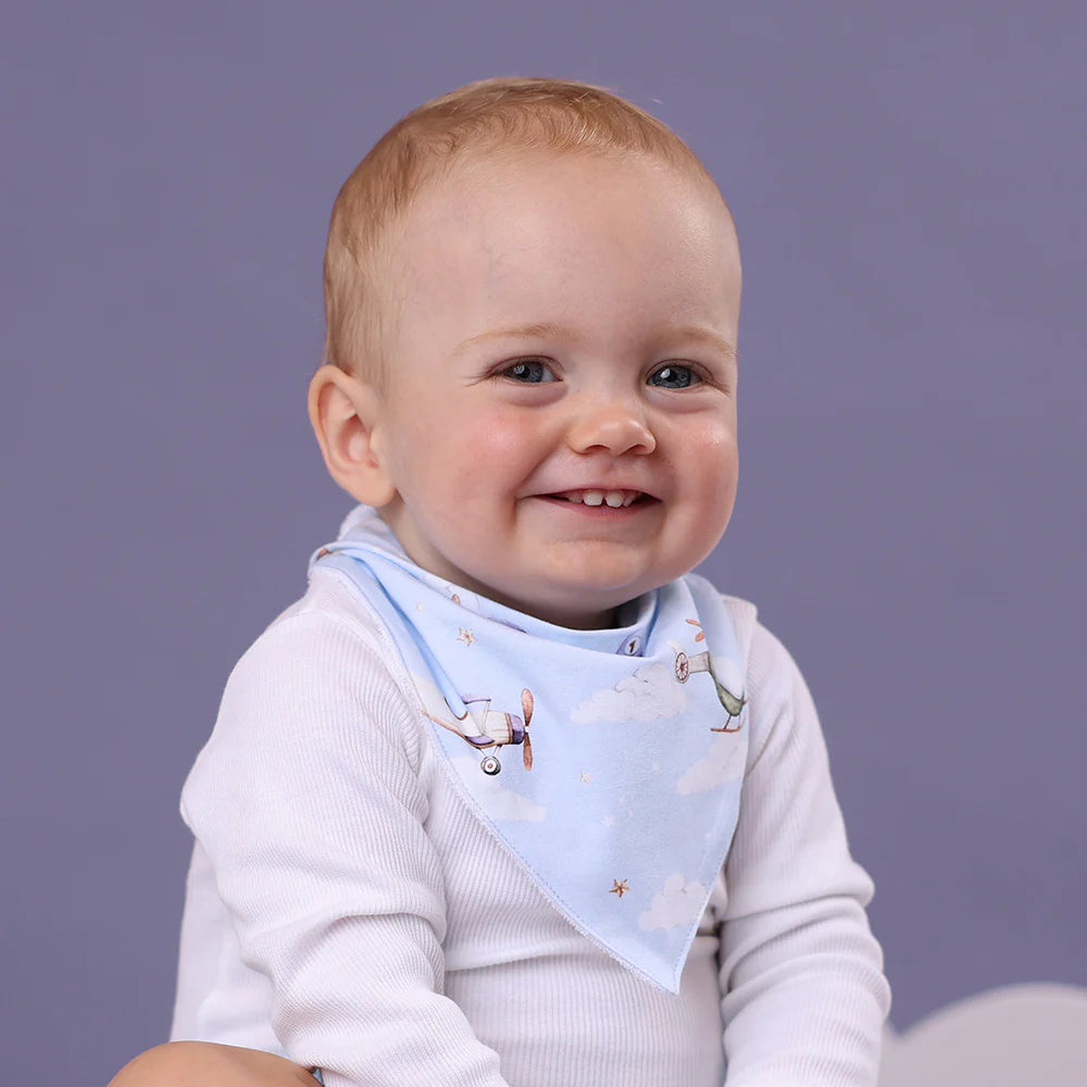 Organic Dribble Bib - Taking Flight
