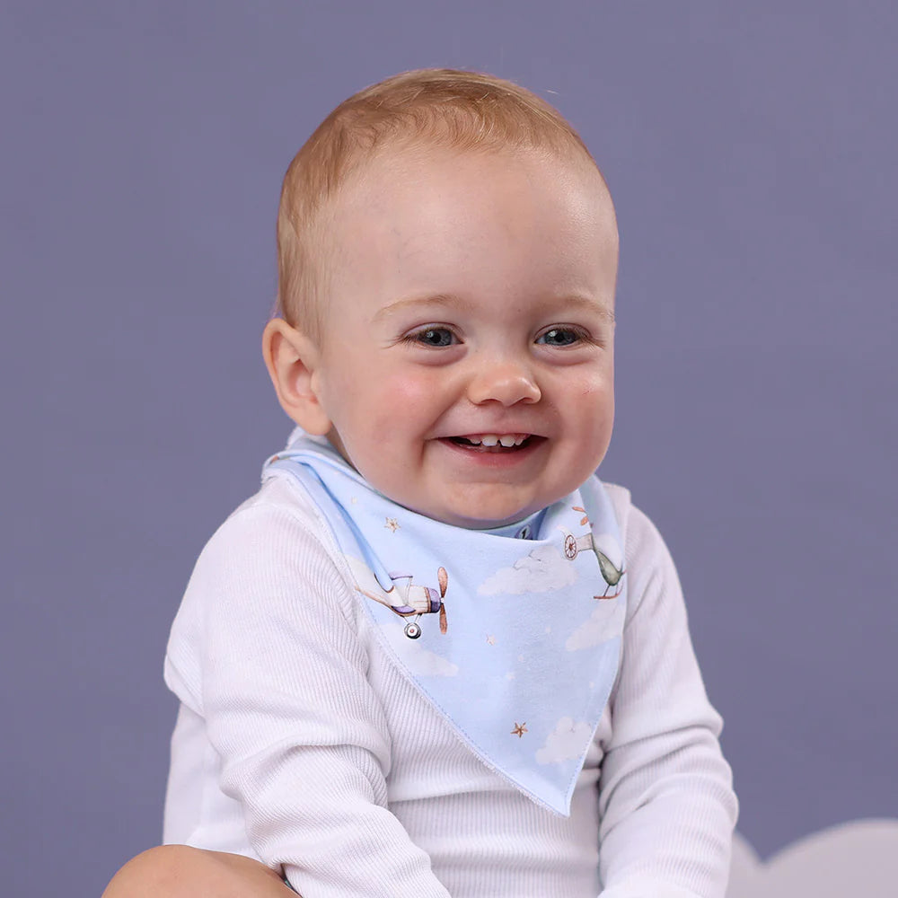 Organic Dribble Bib - Taking Flight