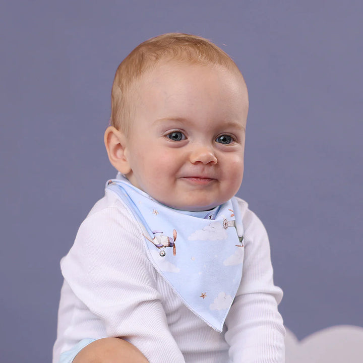 Organic Dribble Bib - Taking Flight
