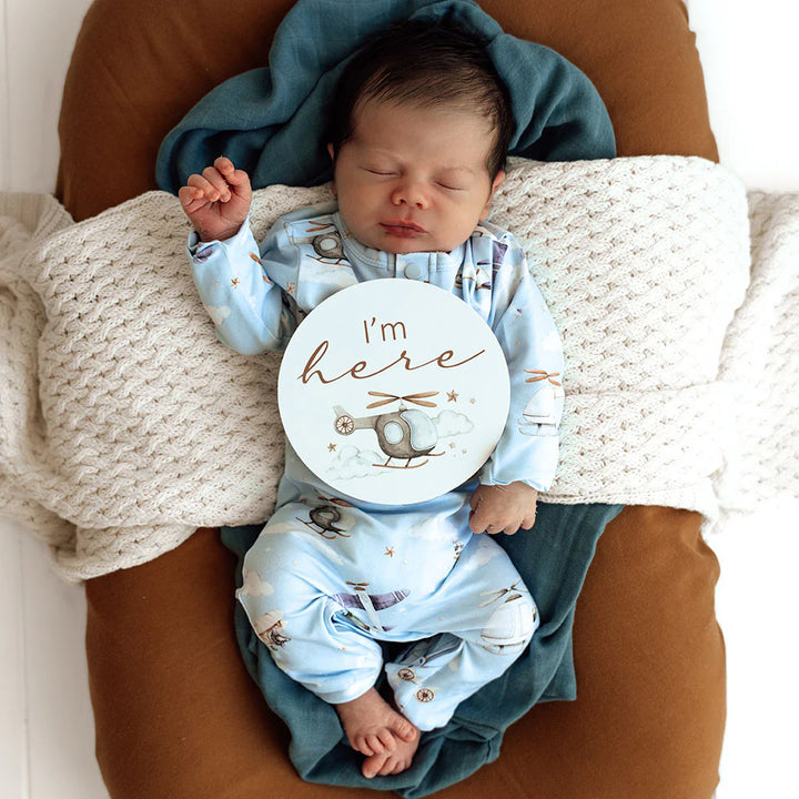 Reversible Milestone Cards - Taking Flight & Pebble