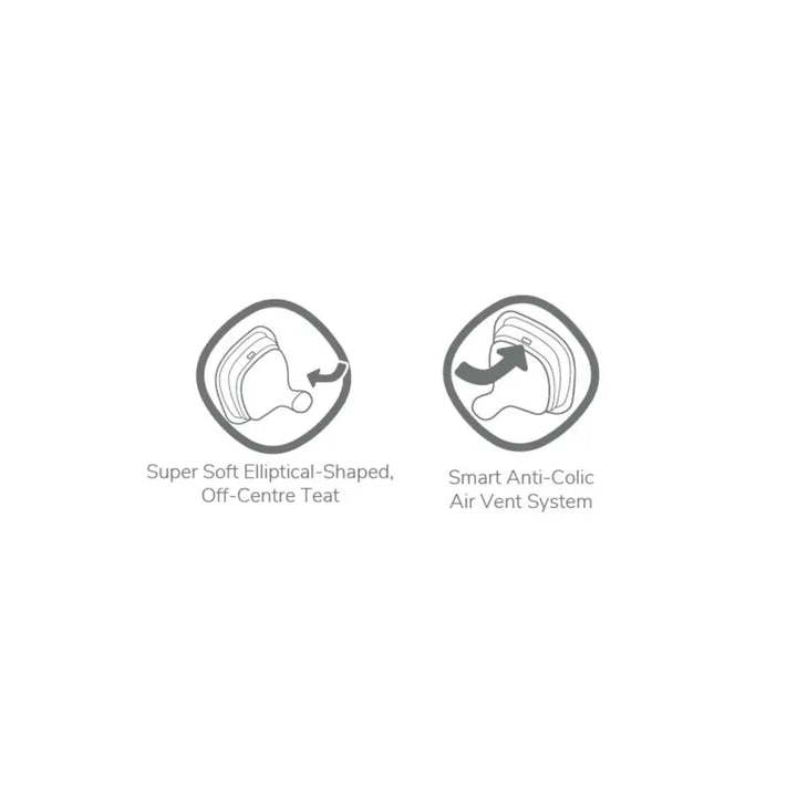 Hegen Teat Fast Flow (2-pack)(6 Months +)