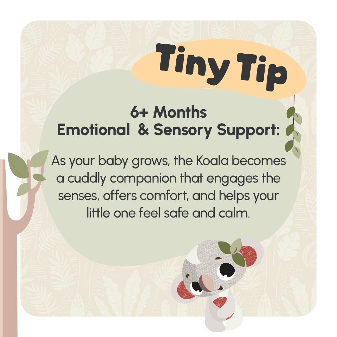 Tiny Love Snuggly Buddies Koala (31028)