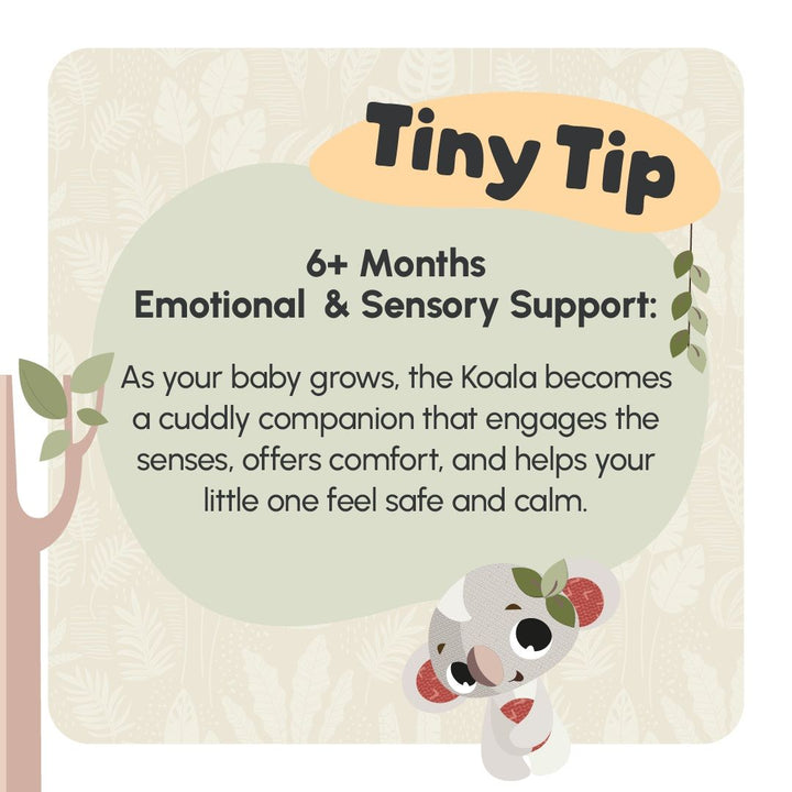 Tiny Love Snuggly Buddies Koala (31028)