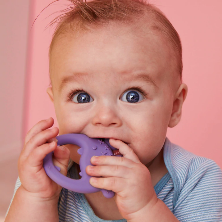B.Box Trio Teether -Peony