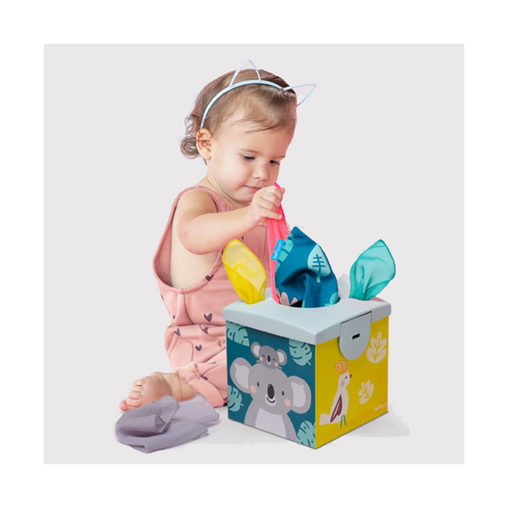 TAF Toys Kimmy Koala Wonder Tissue Box(TT12745)