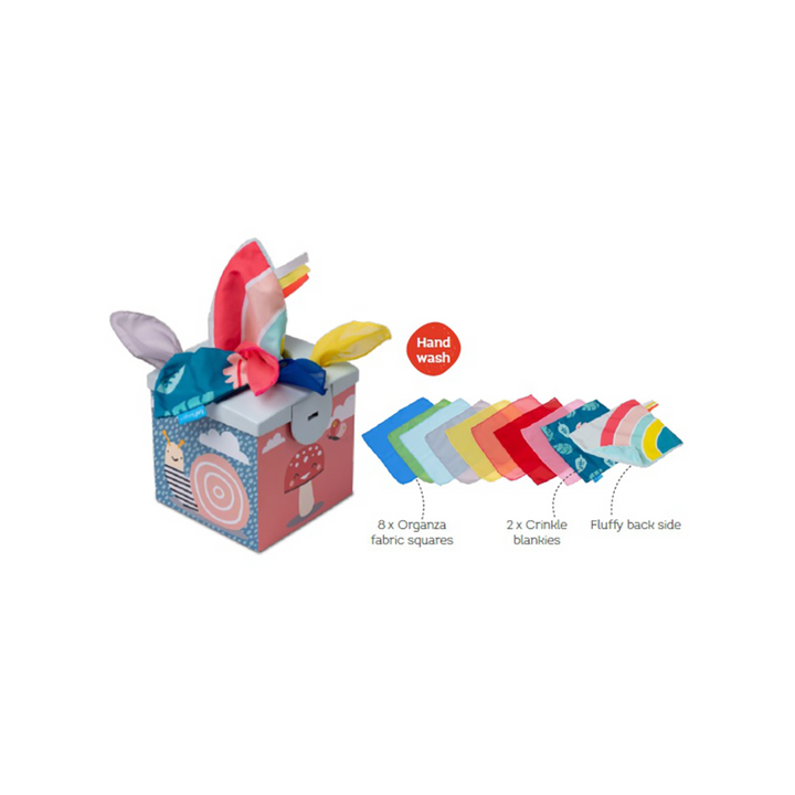 TAF Toys Kimmy Koala Wonder Tissue Box(TT12745)