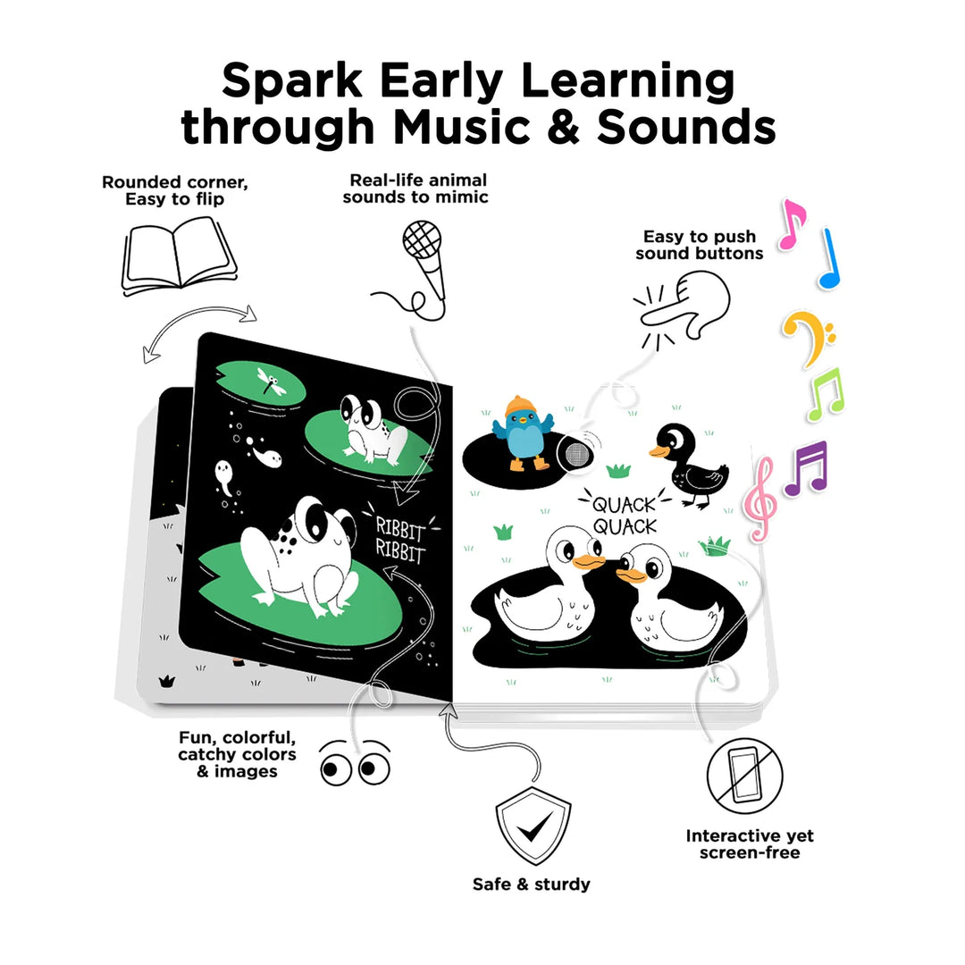 Ditty Bird Black and White Animals Monochrome