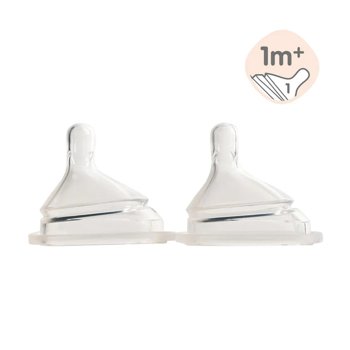 Hegen Teat Slow Flow (2-pack)(1 to 3 Months)