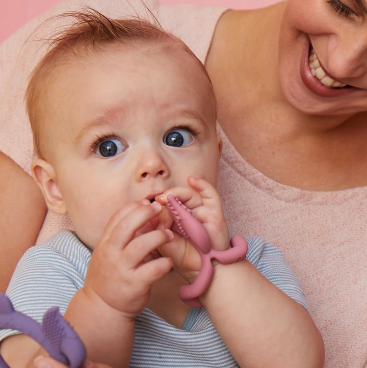 B.Box Wrist Teether - Sage Fox