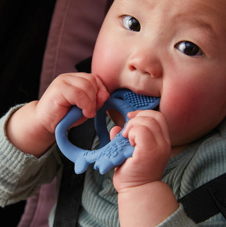 B.Box Wrist Teether - Sage Fox