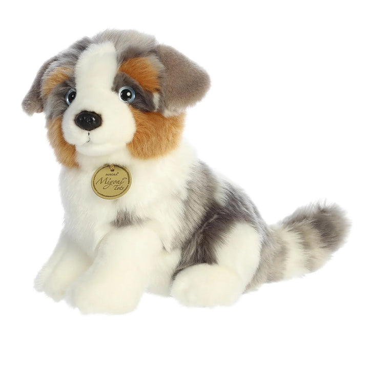 Aurora Miyoni Australian Shephard
