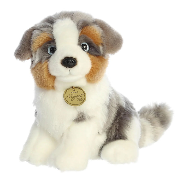 Aurora Miyoni Australian Shephard
