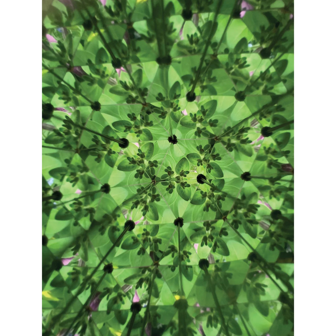 Kikkerland Great Outdoors Kaleidoscope Brown