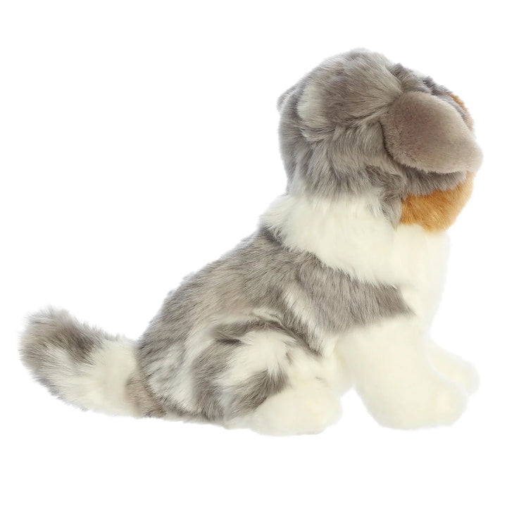 Aurora Miyoni Australian Shephard