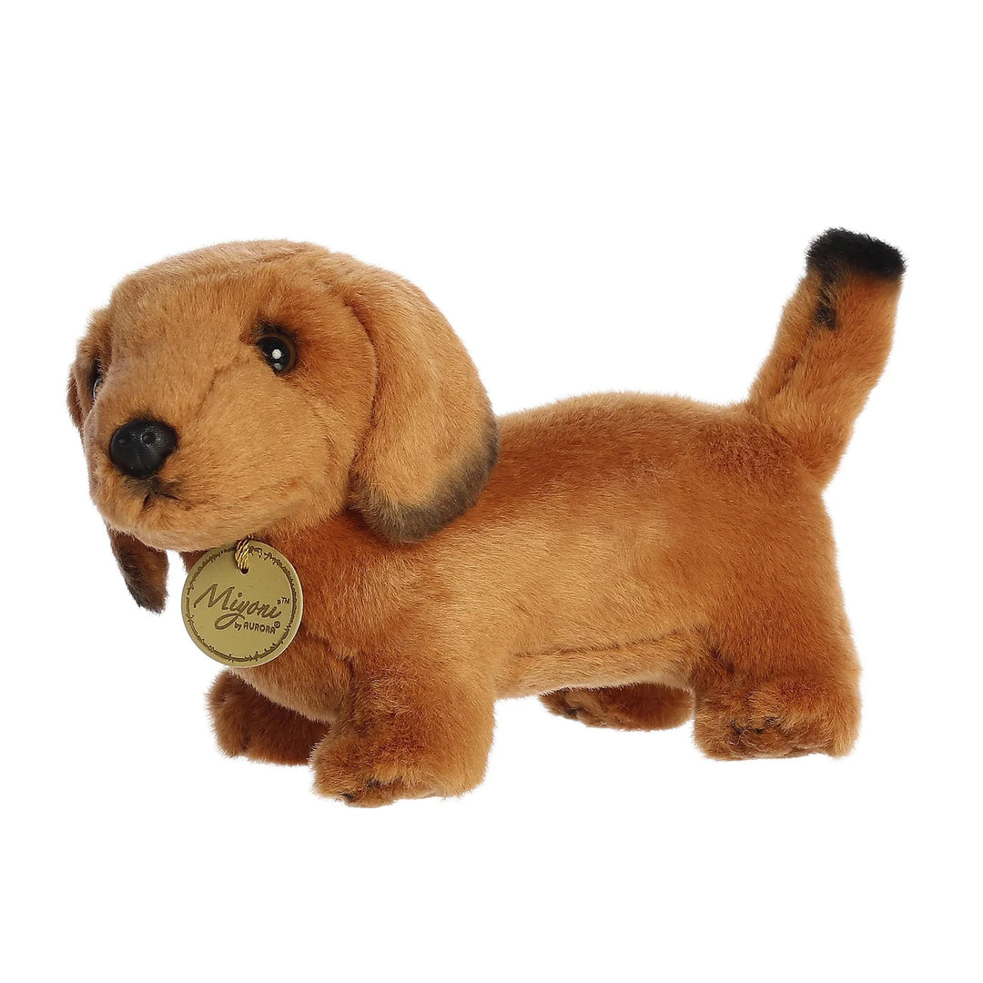 Aurora Miyoni Dachshund Brown