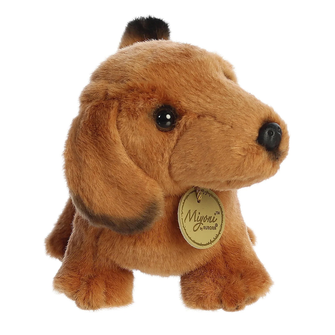 Aurora Miyoni Dachshund Brown