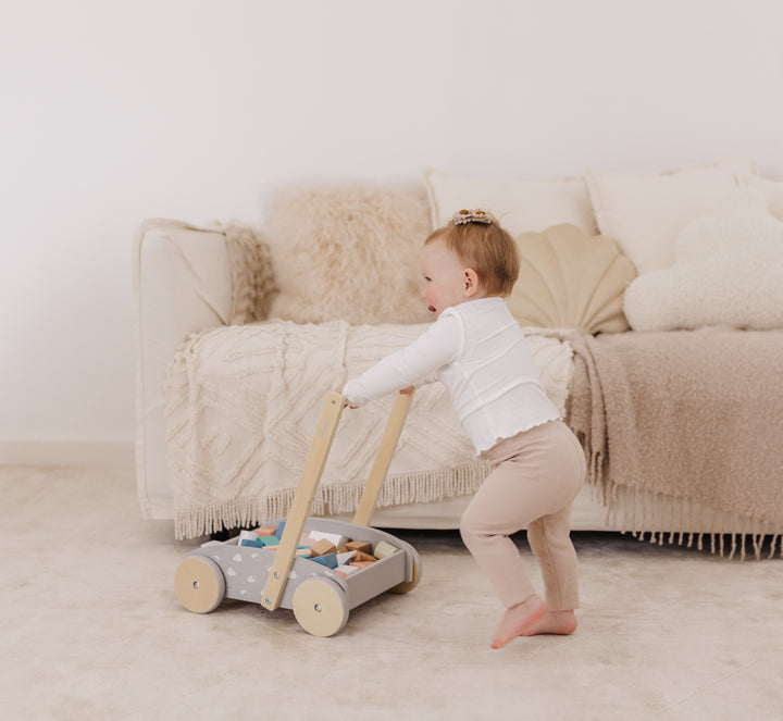 Bubble Wooden Baby Push Cart & Walker with 45 Building Blocks